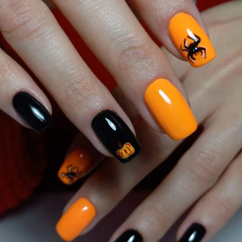 DAVI, Lublin Фото - 5