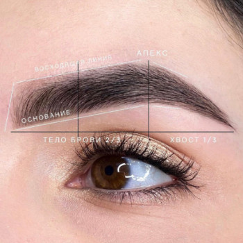 Academy Brejnev, Barnaul Фото - 5