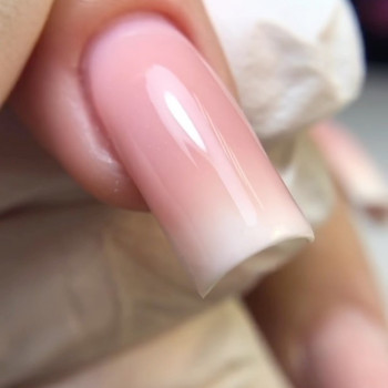 Золотая антилопа, Moscow Фото - 8