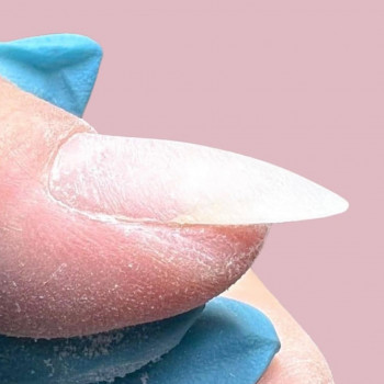 Золотая антилопа, Moscow Фото - 9