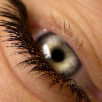 Chickadee, Yekaterinburg Фото - 5