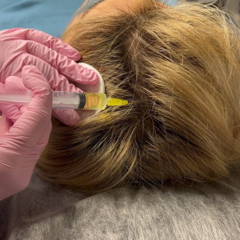 Svetlana Yanshahova, Berlin Фото - 5