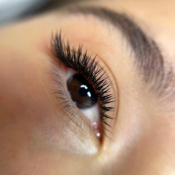 Dodolash brows, Saint Petersburg Фото - 5