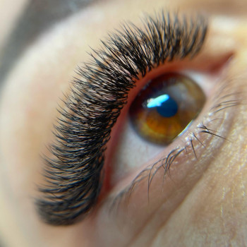 Dodolash brows, Saint Petersburg Фото - 6