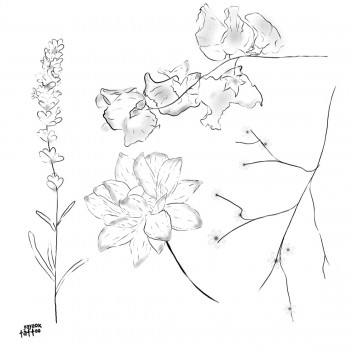 Камилла Осипова, Saint Petersburg Фото - 5