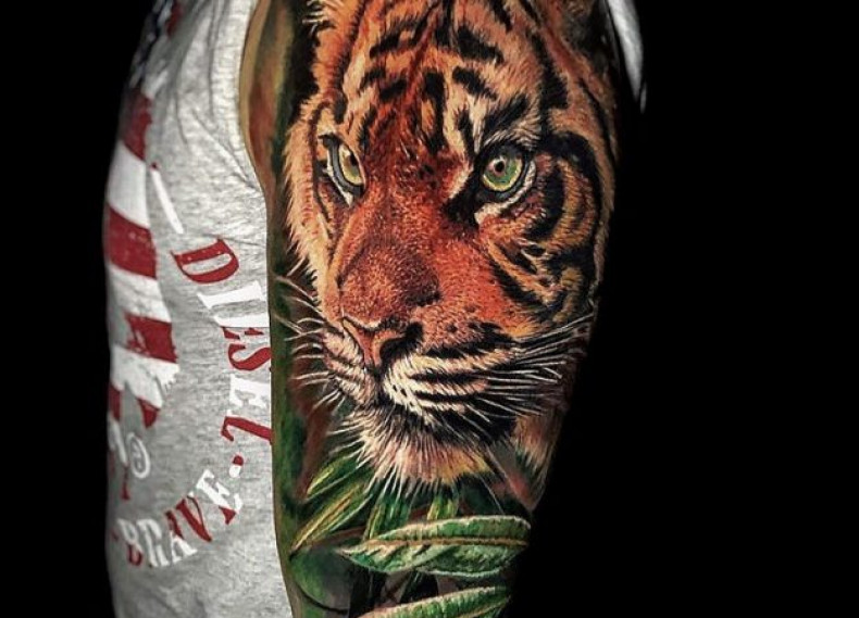 Männer Schulter Tiger, photo - Tattoo-Studio Prime Ink