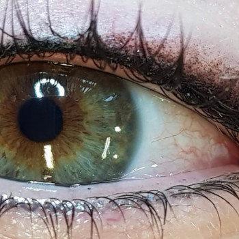 Beauty Hamburg, Hamburg Фото - 5