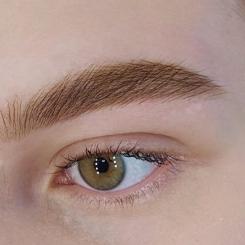 Brow best , Novosibirsk Фото - 6