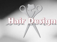 Beauty Salon Hair Design on Barb.pro