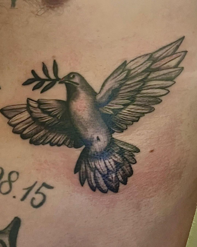 Taube Vogel, photo - Tattoo-Studio Money for Pain