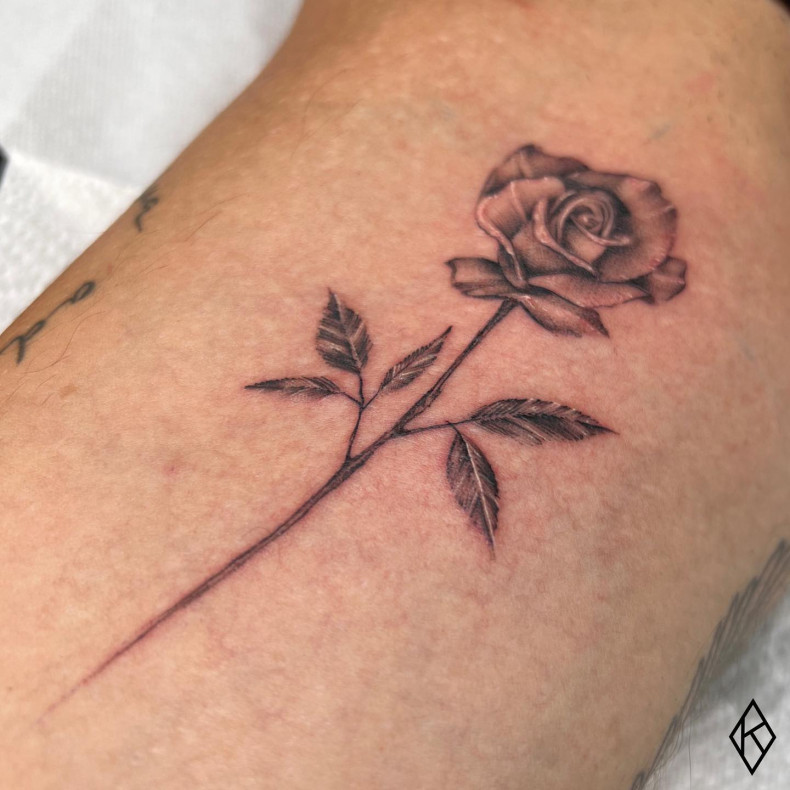 Frauen Arm Rosen, photo - Tattoo-Meister Kleber Sáenz