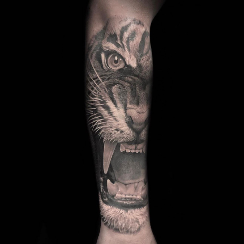 Männer Arm Tiger, photo - Tattoo-Studio Culture Shocks