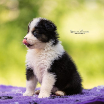 Yvonne Wiesner, Wolfsburg Фото - 5