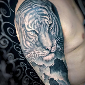 Все любят котиков ?