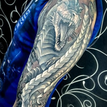 Перекрыл старый партак на плече драконом?
Всё, кроме головы,