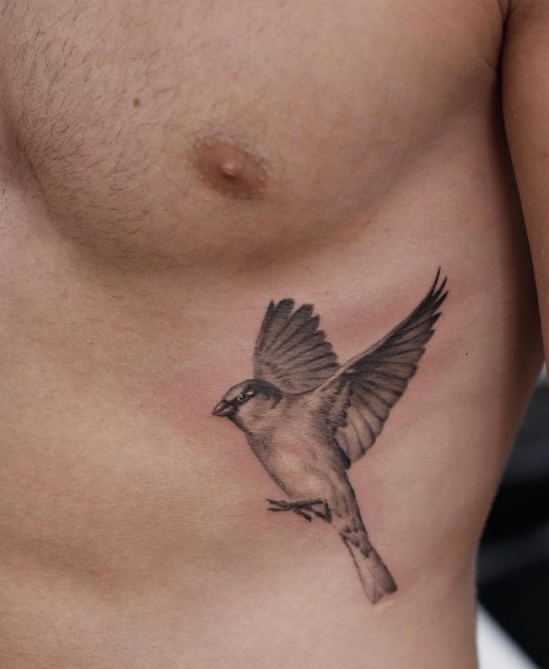 Männer Spatz seiten, photo - Tattoo-Studio Modu Studio