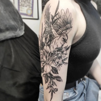 Nr. 1, Freiburg Фото - 5