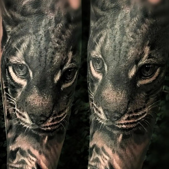 Nr. 1, Freiburg Фото - 6