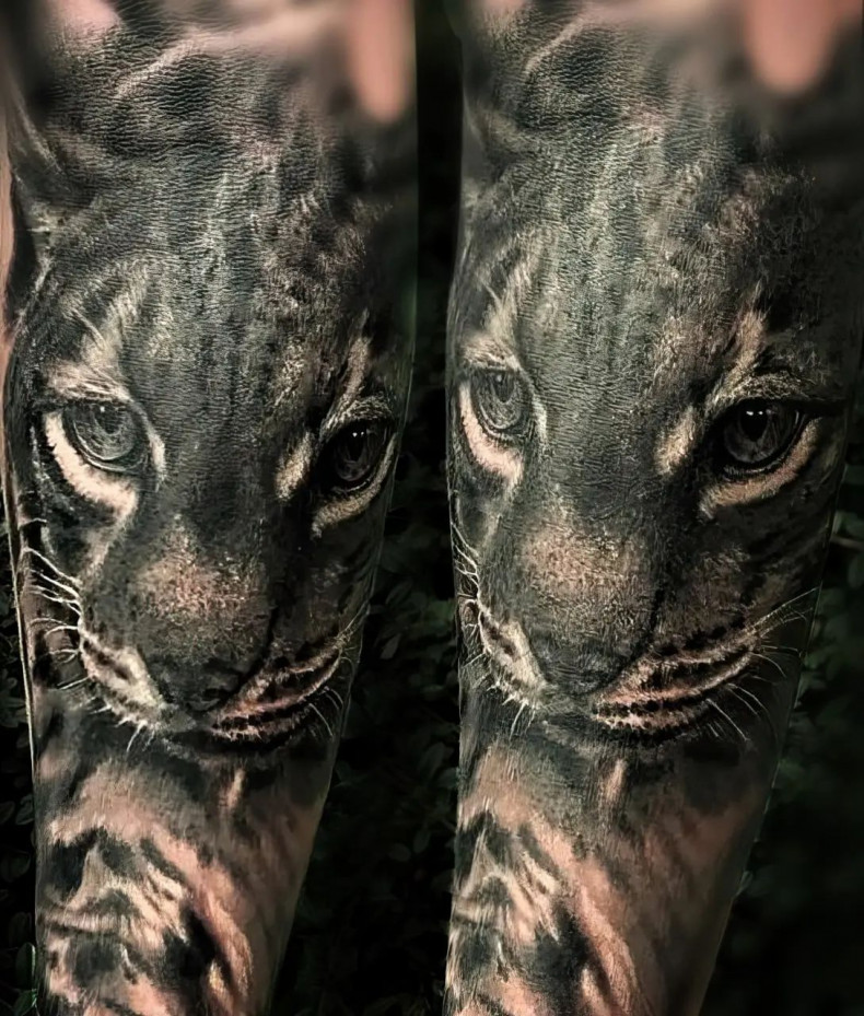 Schwarzgrau Realismus Tiger, photo - Tattoo-Studio Nr. 1