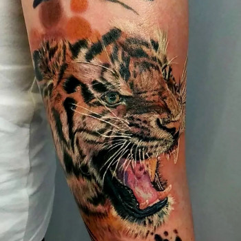 Nr. 1, Freiburg Фото - 7