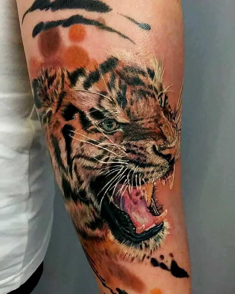 Männer Arm Tiger, photo - Tattoo-Studio Nr. 1