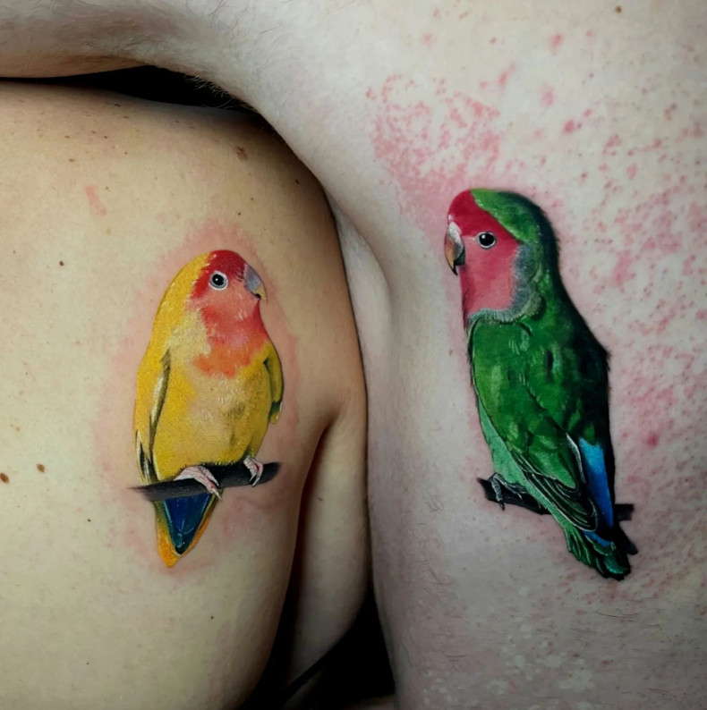 Paar Papagei Vogel, photo - Tattoo-Studio Nr. 1