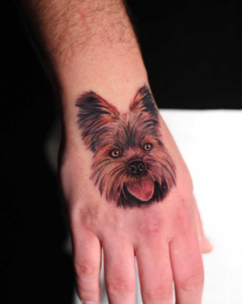 Men hand dog, photo - Tattoo Studio Miosumi Tattoo