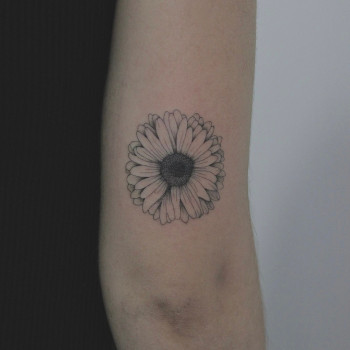 Glorious Art, Кёльн Фото - 5