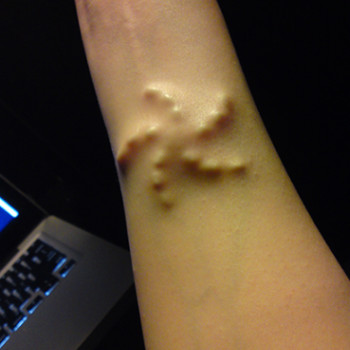 Stigmata, Köln Фото - 5