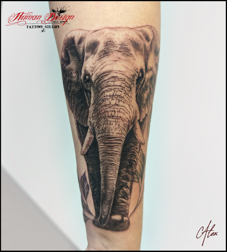 Arm Elefant, photo - Tattoo-Studio Human Design Tattoo