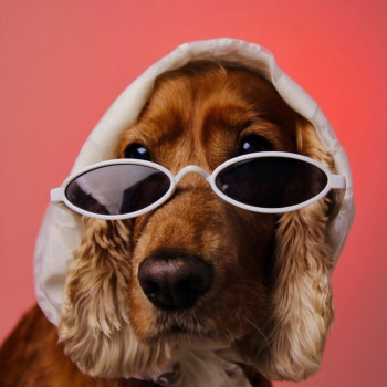 Петр Набатников, Алматы Фото - 14