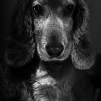 Петр Набатников, Алматы Фото - 15