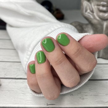 Курс повышения квалификации первая модель 