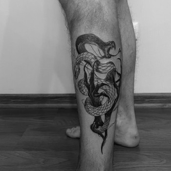 Єлизавета Білик, Краков Фото - 6