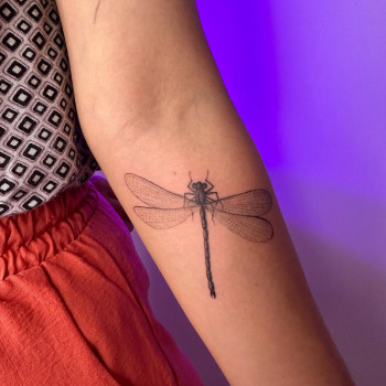 Baltica, Rome Фото - 6