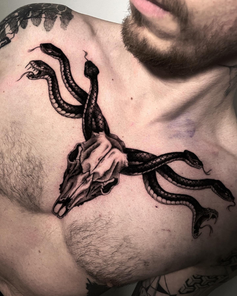 Men snake buffalo, photo - Tattoo Studio Electric Wizard