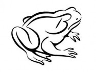 Барбершоп Bullfrog Рим,via Tomacelli, 102
