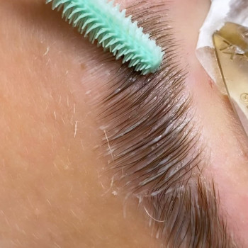 Елена Цебан, Болонья Фото - 5