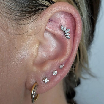 Ginko , Bologna Фото - 5