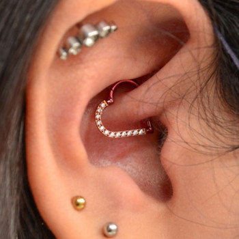 Scorpion Space, Болонья Фото - 5