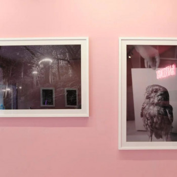 Роза Лакавалла, Болонья Фото - 6