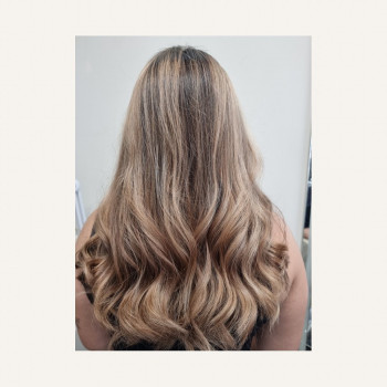 Pro Color, Холон Фото - 6