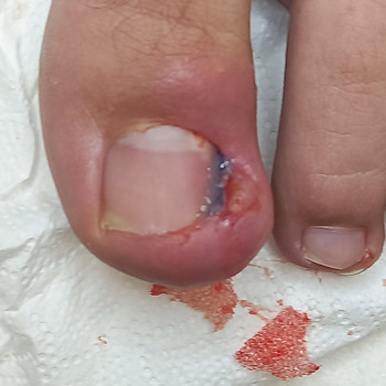 Татьяна Альбертовна, Варшава Фото - 60