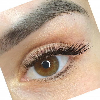 Лиса изгиб С+изгиб L