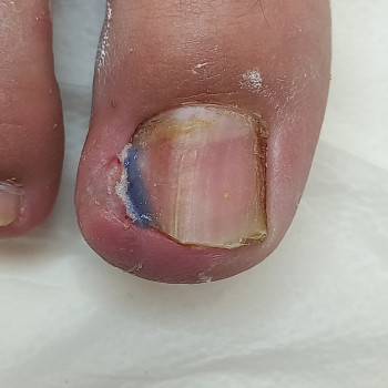 Татьяна Альбертовна, Варшава Фото - 70