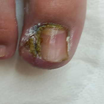 Татьяна Альбертовна, Варшава Фото - 84