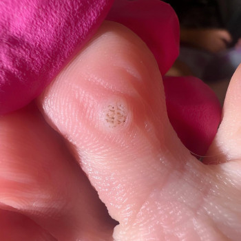 Ogrody Urody , Bydgoszcz Фото - 5