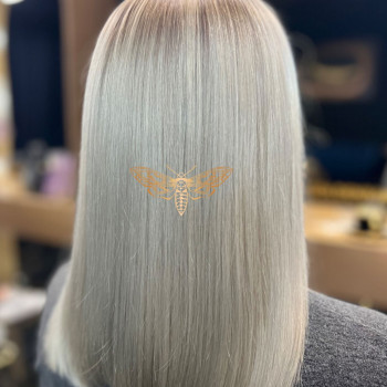 Golden Moth, Sopot Фото - 5