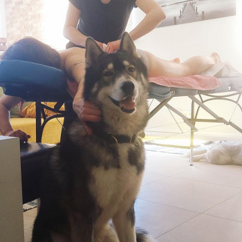 Weronika Papiernik, Warsaw Фото - 5