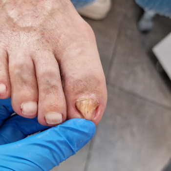 Julia Fundowicz, Wrocław Фото - 5